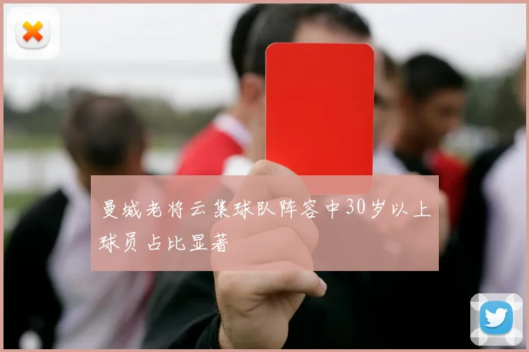 曼城老将云集球队阵容中30岁以上球员占比显著