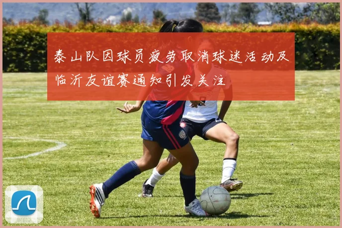 泰山队因球员疲劳取消球迷活动及临沂友谊赛通知引发关注