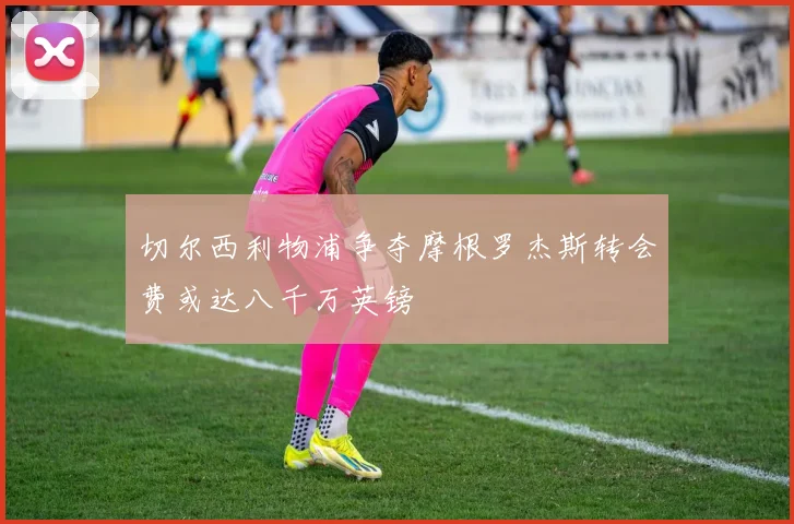 切尔西利物浦争夺摩根罗杰斯转会费或达八千万英镑