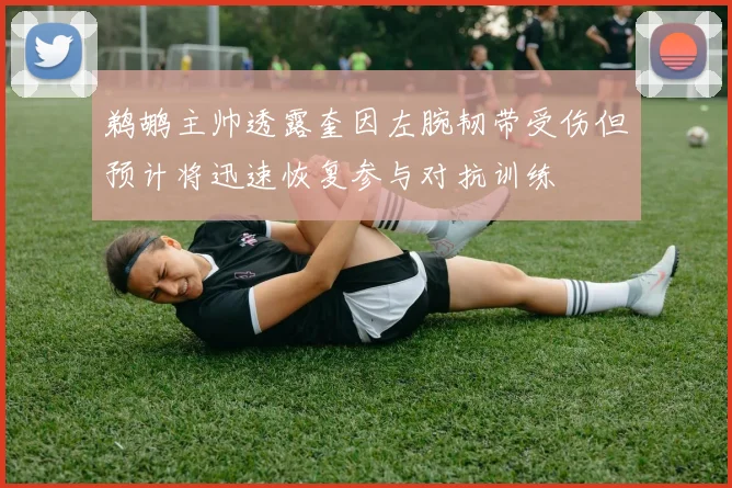 鹈鹕主帅透露奎因左腕韧带受伤但预计将迅速恢复参与对抗训练