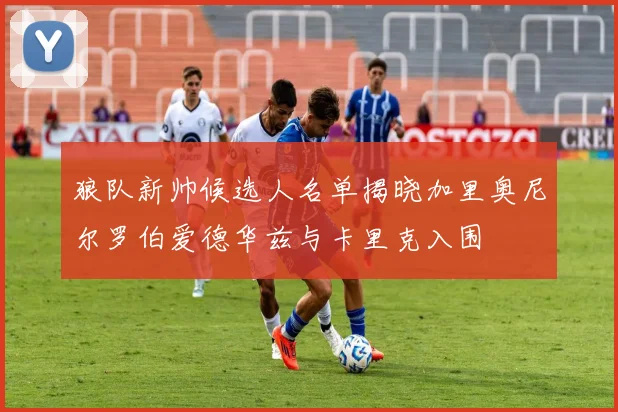 狼队新帅候选人名单揭晓加里奥尼尔罗伯爱德华兹与卡里克入围