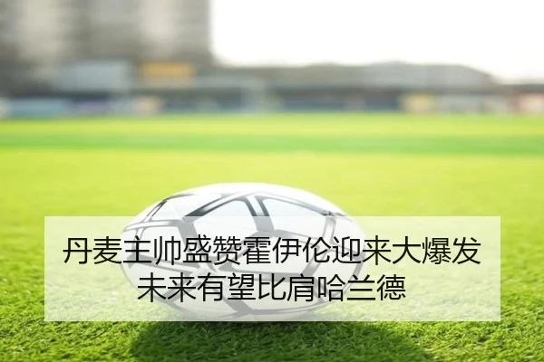 丹麦主帅盛赞霍伊伦迎来大爆发 未来有望比肩哈兰德 | ACMilan
